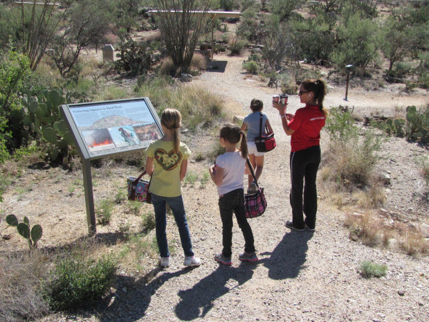 Saguaro National Park East